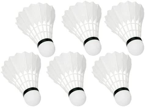 6 pièces/lot multicolore Sports de plein air Badminton accessoires Badminton  volants plume d'oie volant Badminton balles